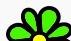 60 Seconds about ICQ