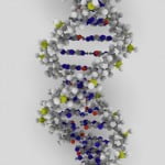 Israeli DNA Technology Promises To Revolutionize Forensics 542370154 9b938dc090 o 150x150 Israeli DNA Technology Promises To Revolutionize Forensics