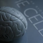 brain cell 150x150 HU Scientists Teach The Blind To See Using Sound