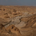 desert 150x150 Limb Factory Gives Life Back To Disabled From All Over The World