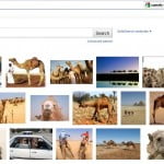 picscout