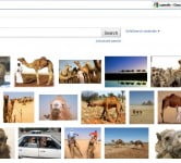 picscout