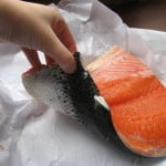 salmon