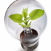 green idea