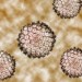 cell_1 cell_1