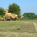 Agriculture Environmental News - Agriculture