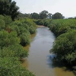 Environment News - The Jordan River