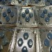Health News - Viagra