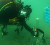 Environment News - Dead Sea