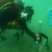 Environment News - Dead Sea Environment News - Dead Sea