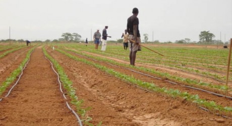 green 2000 - environment news