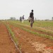 green 2000 - environment news green 2000 - environment news