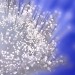 superconductorsfibers