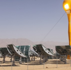 AORA Plant - Environment News - Israel
