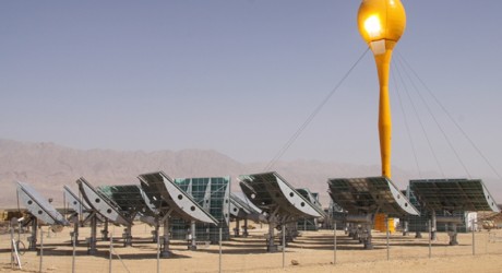 AORA Plant - Environment News - Israel
