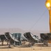 AORA Plant - Environment News - Israel AORA Plant - Environment News - Israel