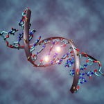 640px DNA methylation 150x150 Study: The Human Brain Can Solve Maths Problems Subconsciously