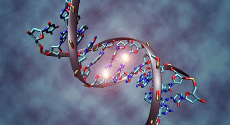 Diabetes Epigentics - Health News - Israel