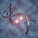 Diabetes Epigentics - Health News - Israel