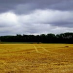 Harvest2 150x150 App Backed By Former Mossad Chief Helps Plant Breeders Collect Field Data