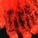 Blood Vessels - Health News - Israel