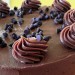 Cake - Health News - Israel Cake - Health News - Israel