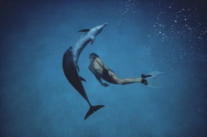 Dolphin Therapy - Lifestyle News - Israel