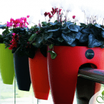 Greenbo - Environment News - Israel