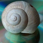Snail 150x150 Israels Secret Project: Super Battery To Reduce Worlds Oil Thirst