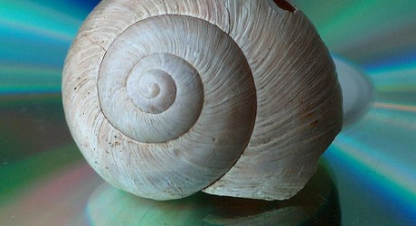 Snail - Technology News - Israel
