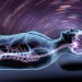 Brain - Health News - Israel