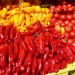 Agriculture - Environment News - Israel