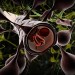 Blood-Brain Barrier - Health News - Israel