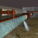 Curapipe - Environment News - Israel