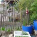 Grey Water - Environment News - Israel