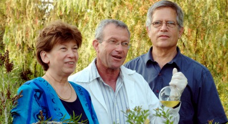 BGU scientists - Health News - Israel