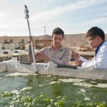algae univerve1 150x150 Israels 1st Presidents Century Old Discovery May Fuel Future Cars