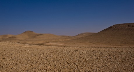 Israel's negev desert