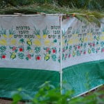 succa 150x150 Israeli Solar Entrepreneur Aims To Bring Light To Africa