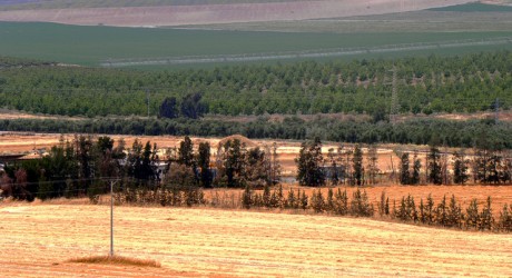 Environment News: The Israeli Farmer That Changed Irrigation