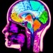 Health News: Israeli Researchers Map Brain Microstructure