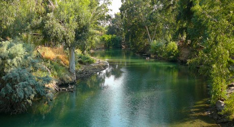 Environment News: Waze Helps You Navigate Your Way To Clean Water