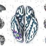 VWPA project 150x150 Study: The Human Brain Can Solve Maths Problems Subconsciously