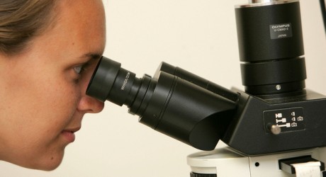 Health News: New Israeli Treatment Offers Hope For Cancer Patients