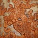 Environment News: Israeli Researchers Use Rust To Create Solar Energy More Efficiently