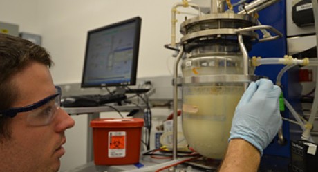 Environment News: Israel's 1st President's Century-Old Discovery May Fuel Future Cars