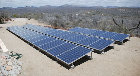 Environment News: Israeli Solar Entrepreneur Aims To Bring Power To Africa