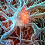 brain cells 150x150 NeuroQuest: Detecting Alzheimers Before Symptoms Appear