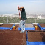green roofs 150x150 Israeli Chess Grandmaster Launches Initiative To Teach Chess In Schools