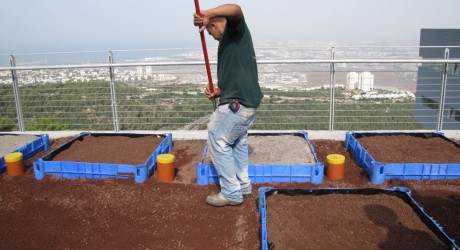 Environment News: The University Of Haifa Wants To Make Roofs Greener – Literally